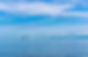 AdobeStock_384842090.jpeg