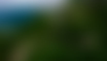 กรมทางหลวง ชวนสัมผัสธรรมชาติผืนป่าและสายหมอกแห่งขุนเขา ณ “ภูหินล่องกล้า” จังหวัดเพชรบูรณ์