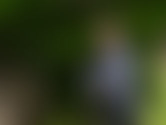 EGCO Group และมูลนิธิไทยรักษ์ป่า ชวนสัมผัสคุณค่าของสัตว์ป่าและธรรมชาติ ในนิทรรศการภาพถ่าย “ง่าย-งาม” ณ หอศิลปกรุงเทพฯ 30 ม.ค.-11 ก.พ. 67