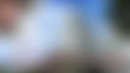 กลุ่ม ปตท. ยืนยันไม่มีการส่งออกน้ำมันไปประเทศกัมพูชา