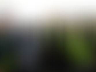 เตรียมเปิดทางด่วนเชื่อมทางหลวงพิเศษ ทางยกระดับ M82 ช่วงบางขุนเทียน - เอกชัย 22 ต.ค. นี้ ให้ประชาชนทดลองใช้ฟรี