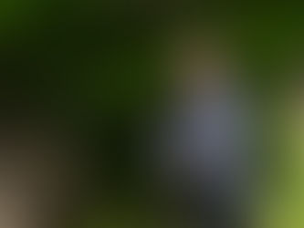 เอ็กโกกรุ๊ปเปิดรับสมัครเด็กม.ปลายสายกรีน ลุยสำรวจป่าต้นน้ำอินทนนท์