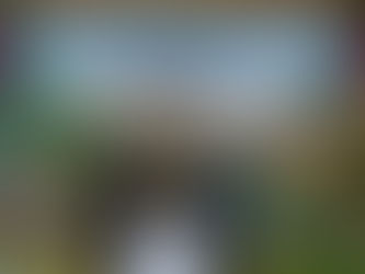 EGCO Group โดย มูลนิธิไทยรักษ์ป่า ส่งมอบ “เส้นทางศึกษาธรรมชาติยอดดอยปุย” เส้นทางป่าหลังบ้านเมืองเชียงใหม่ ชูแหล่งเรียนรู้นิเวศประวัติศาสตร์ที่เข้าถึงง่าย