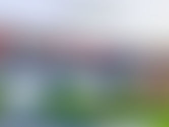 CMC นำร่องโครงการแนวราบย่านบางใหญ่เปิดทาวน์โฮมหน้ากว้าง ชาโตว์ วิลเลจ เวสต์เกต-บ้านกล้วย