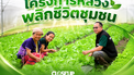 "โครงการหลวงพลิกชีวิตชุมชน"สวพส. ขยายผลองค์ความรู้โครงการหลวงพลิกบ้านหนองเขียวสู่ต้นแบบเกษตรอินทรีย์แปลงใหญ่บนพื้นที่สูง จ.แม่ฮ่องสอน