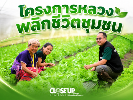 "โครงการหลวงพลิกชีวิตชุมชน"สวพส. ขยายผลองค์ความรู้โครงการหลวงพลิกบ้านหนองเขียวสู่ต้นแบบเกษตรอินทรีย์แปลงใหญ่บนพื้นที่สูง จ.แม่ฮ่องสอน