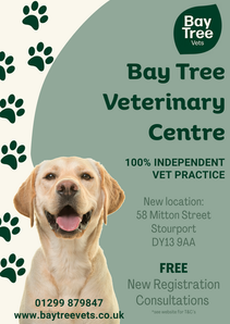 Free New Registration Consults