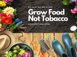 Grow Food