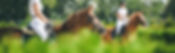 AdobeStock_215552699.jpeg