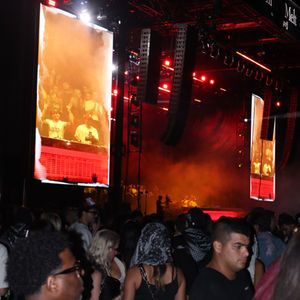 Vibrant Concert Experience