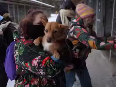 Zbiórka darów dla zwierząt ze schroniska w Sobolewie