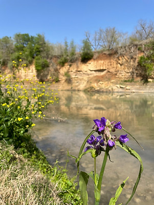 IMG_4522 copy.jpeg