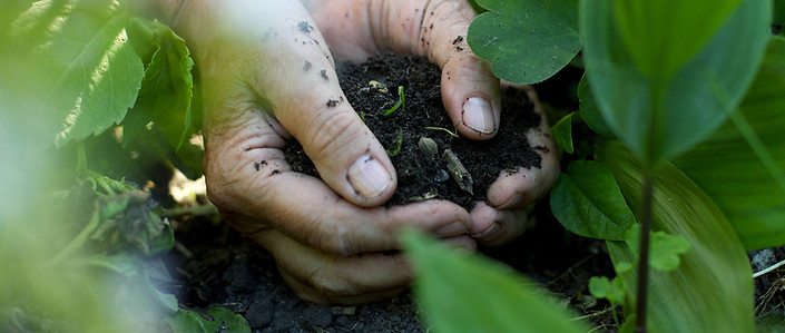 Hands in the Soil