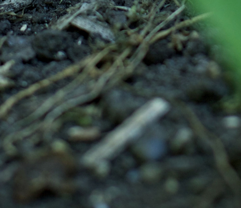 Las manos en el suelo