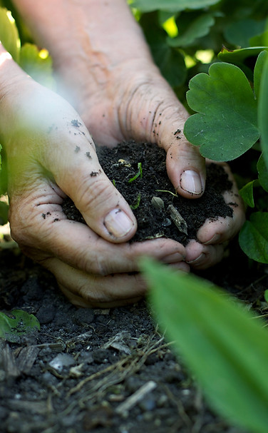 Hands in the Soil