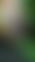 soil biology trends 2026