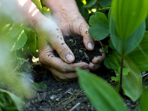 🌱 How to Bring Manufactured Soil and Potting Mix to Life 🌱– Toowoomba Gardening Tips
