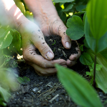 Cultivating Better Health