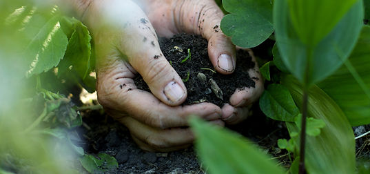 Hands in the Soil