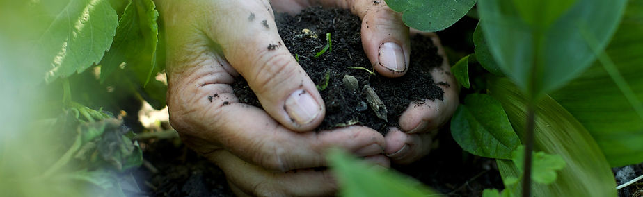 Hands in the Soil