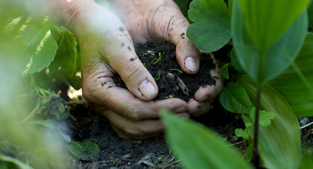 Hands in the Soil