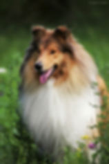 20190619131116977554885341-02e.jpeg
