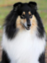 201905048194349993380411141-01.jpeg