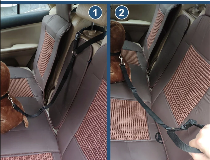 תמונה ממוזערת: רצועת חגורת בטיחות לכלב