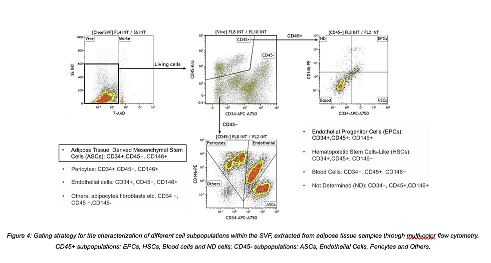 Source: Screenshot from Cremona, M., Palma, E., Viganò, M., Veronesi, E., & Alessandri, G. (2025). Isolation and standardization of the stromal vascular fraction from adipose tissue for clinical applications in regenerative medicine: Current procedures and regulatory issues. Biomolecules, 15(2), 166. https://doi.org/10.3390/biom15020166