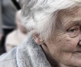 A Season for Everything