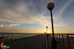 IMG_1397 copy