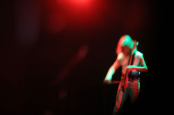 IMG_4775 copy