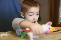 IMG_2180 copy.jpg