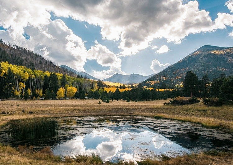 Northern AZ image.jpg