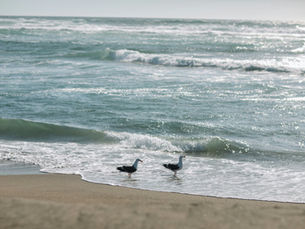 Why Manzanita, Oregon Is One of the Best Small Beach Towns to Buy a Home