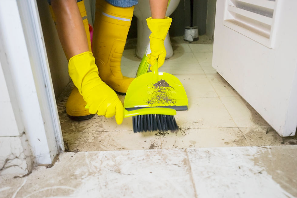 What to Expect from Post-Construction Cleaning Services in 2026