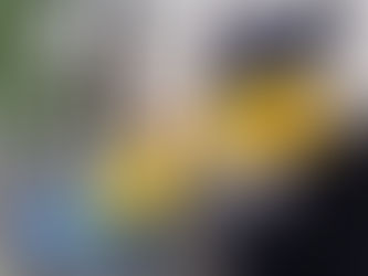 Get Your Home Holiday-Ready with Professional Cleaning Services in Maine