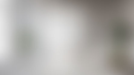 Affordable Professional Painting Contractor with Quality Work