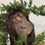 Thumbnail: JUNIPER BONSAI 5YRS OLD J5Y-4