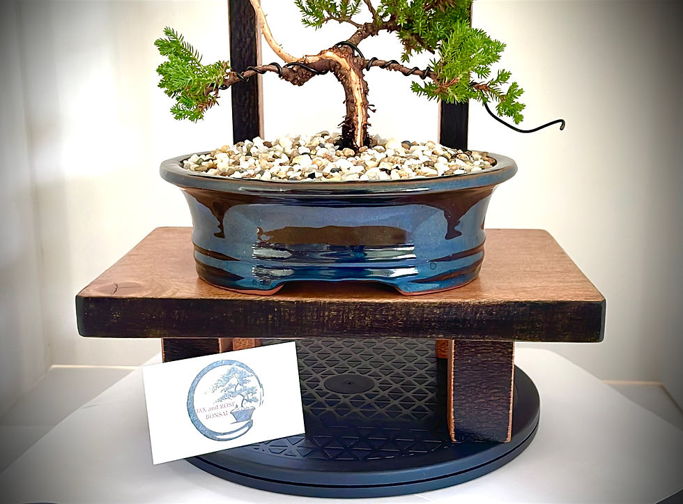 Thumbnail: Black Washed Silky Oak Bonsai Display Stand – Torii Gate Collection