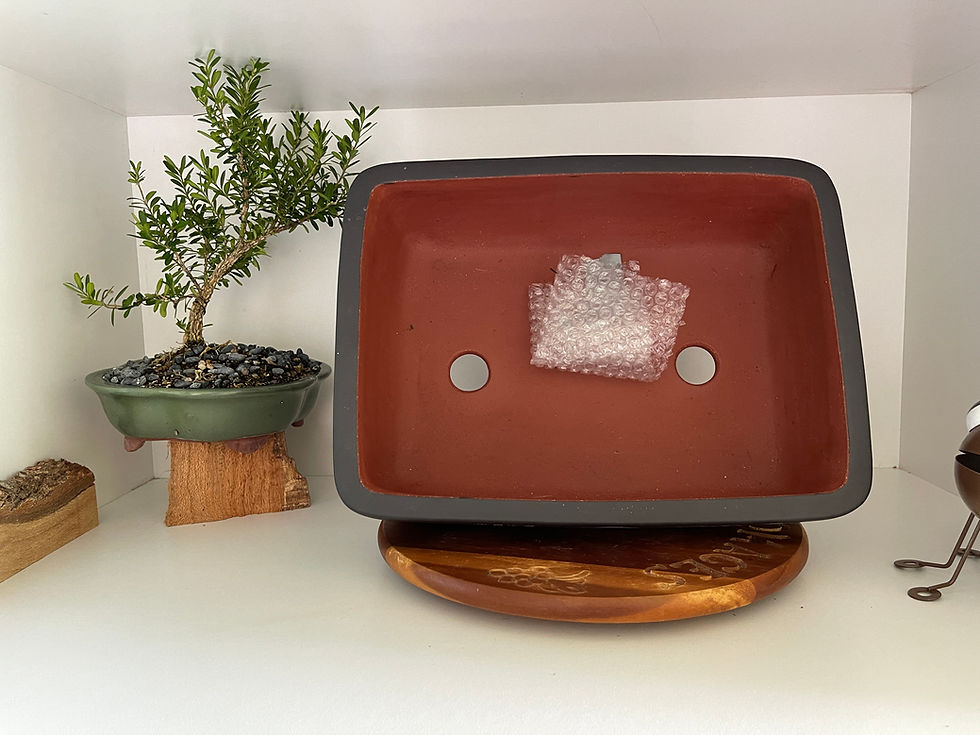 Thumbnail: Unglazed Rectangle Bonsai Pot with Artwork 37cm