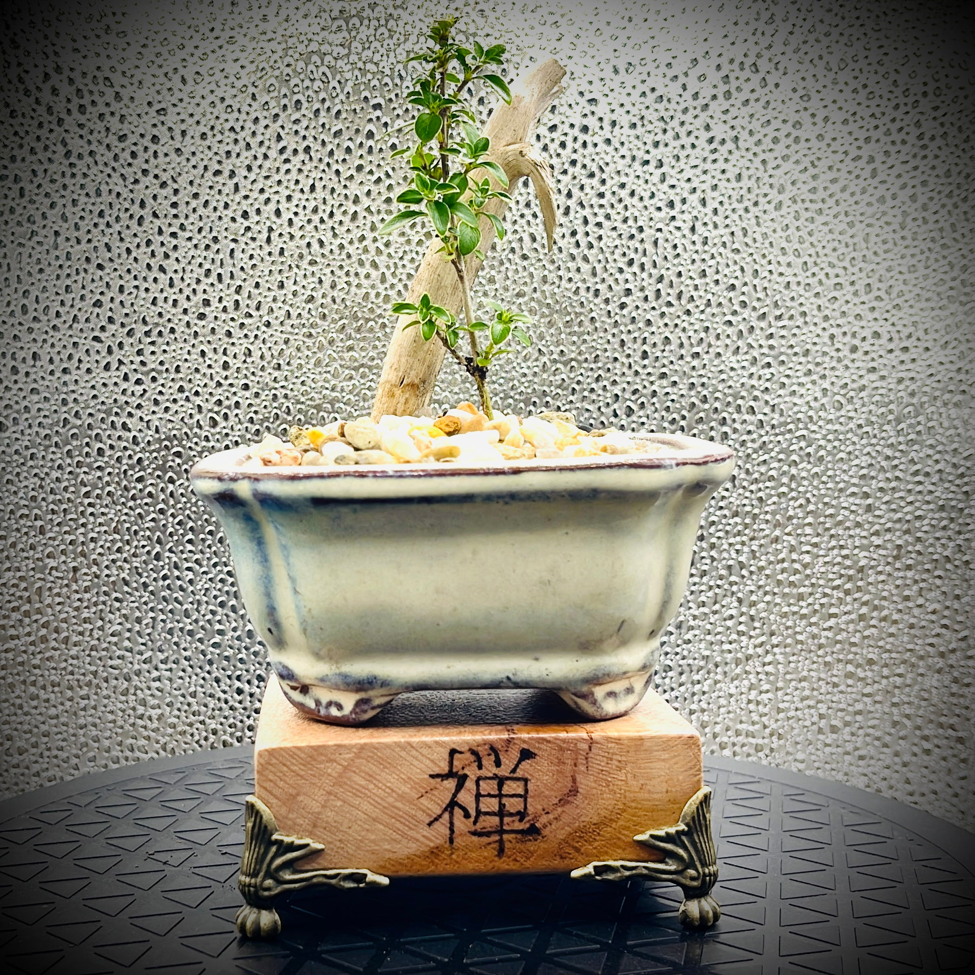 Petite Flowering Bonsai with Hand-Engraved Zen Stand
