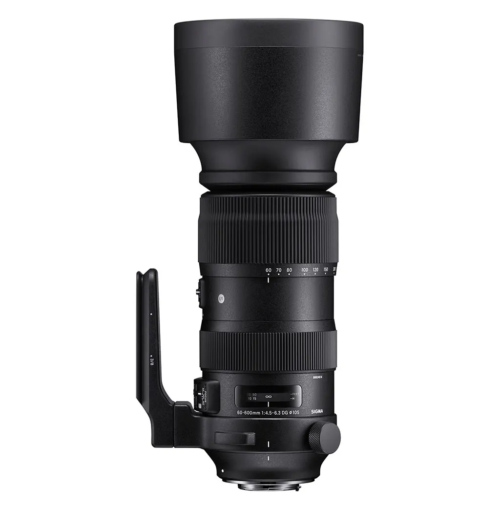 Sigma 60-600mm Review