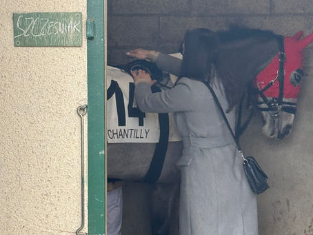 Wiktoria SZCZESNIAK - The Soft Horse