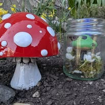 FRIGHTFUL FUNGI FESTIVAL & PLANT SWAP with PGP