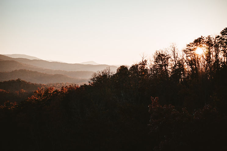 sean-foster-gCWug6wM0Qk-unsplash.jpg