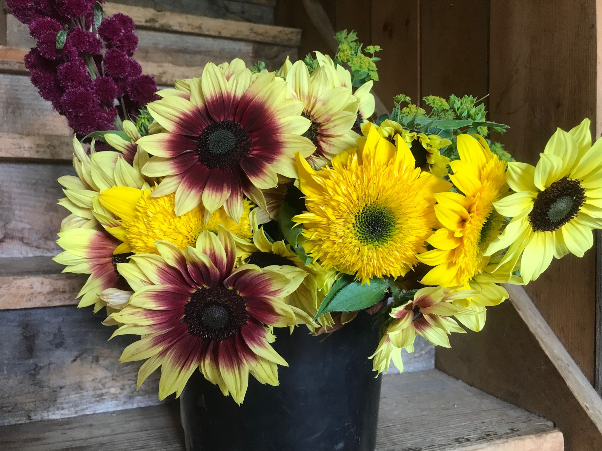 2026 Organic Flower Bouquets
