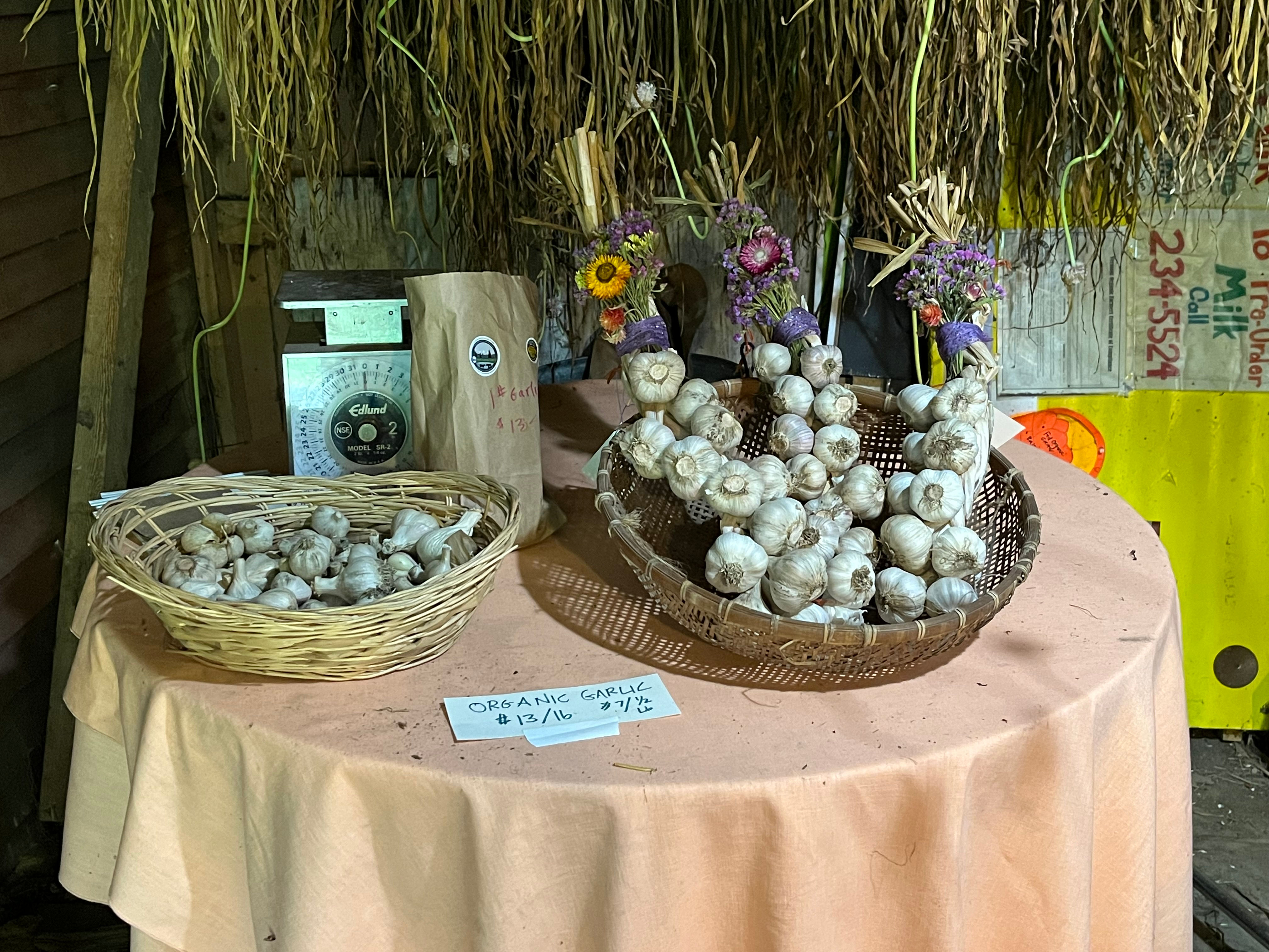 Organic Garlic Braids