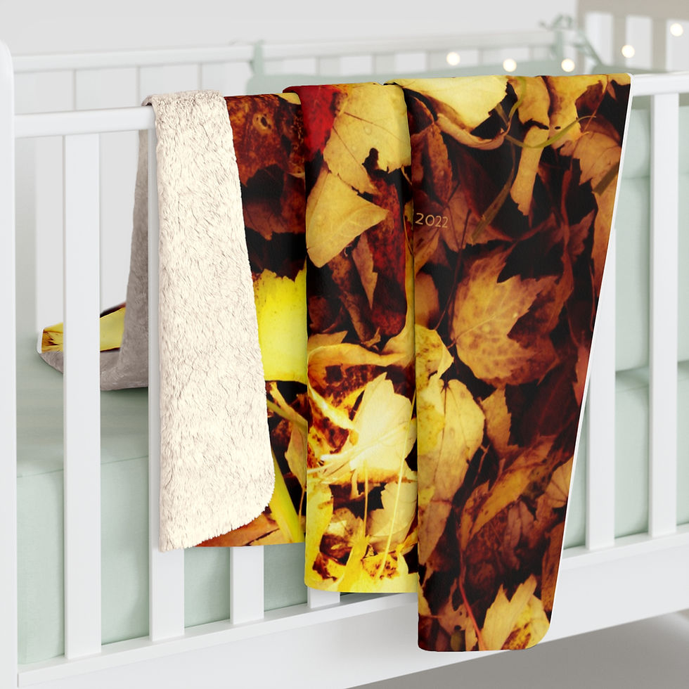 Thumbnail: Sherpa Fleece Blanket