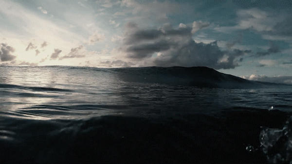 video_1.gif